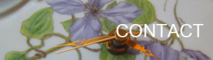 banner_contact
